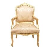 Fauteuil Baroque Louis XV/XVI – Style Velours – Neuf – Marque Decoloco